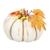 Van Cranenbroek Woondecoratie<Pompoen met decoratie 17x11cm