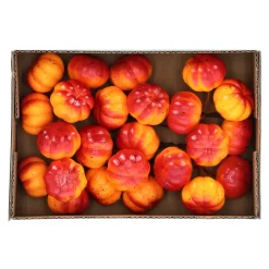 O'malley Woondecoratie<Pompoen mini mix