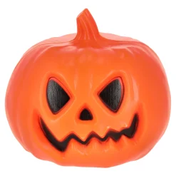 Van Cranenbroek Woondecoratie<Pompoen plastic 20x20cm