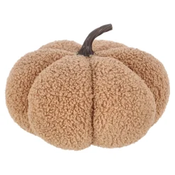Van Cranenbroek Woondecoratie<Pompoen zacht bruin 21x17 cm