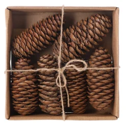 Natural Collections Woondecoratie<Raicone nature 6st