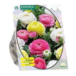 Baltus Bodemverbeteraars<Ranonkel Pastel mix per 15