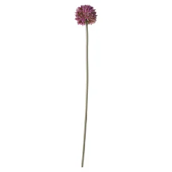 O'malley Kunstplanten En Kunstbloemen<Sierui 55 cm roze