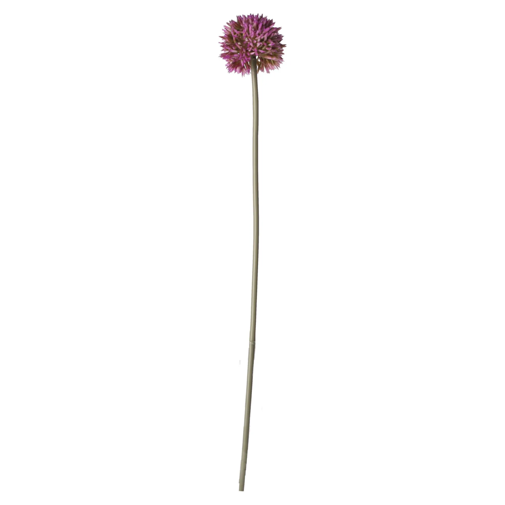 O'malley Kunstplanten En Kunstbloemen<Sierui 55 cm roze