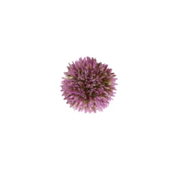 O'malley Kunstplanten En Kunstbloemen<Sierui 55 cm roze