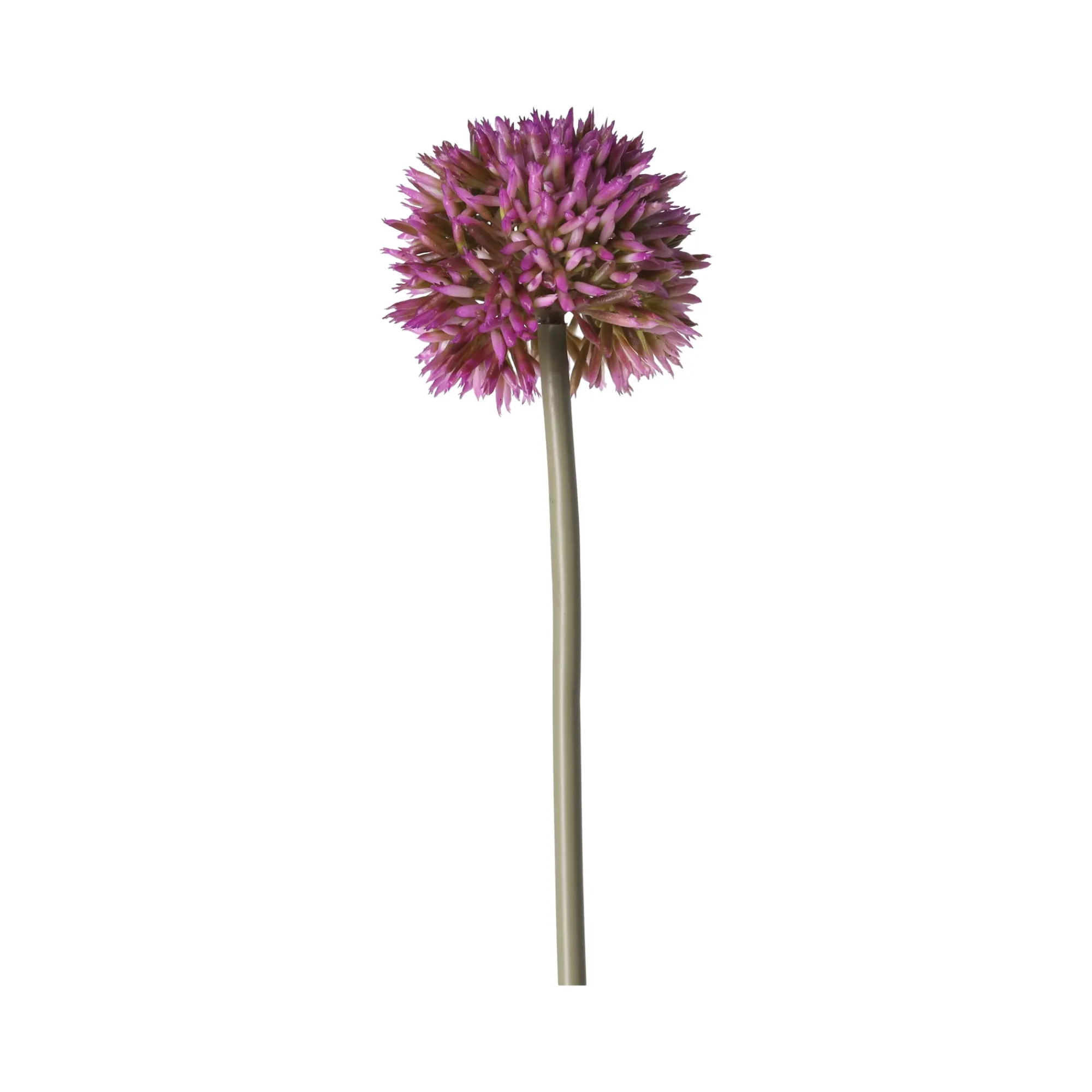 O'malley Kunstplanten En Kunstbloemen<Sierui 55 cm roze