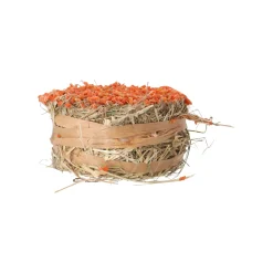Smulti Knaagdieren Snacks<Snack hooirol wortel 75gr