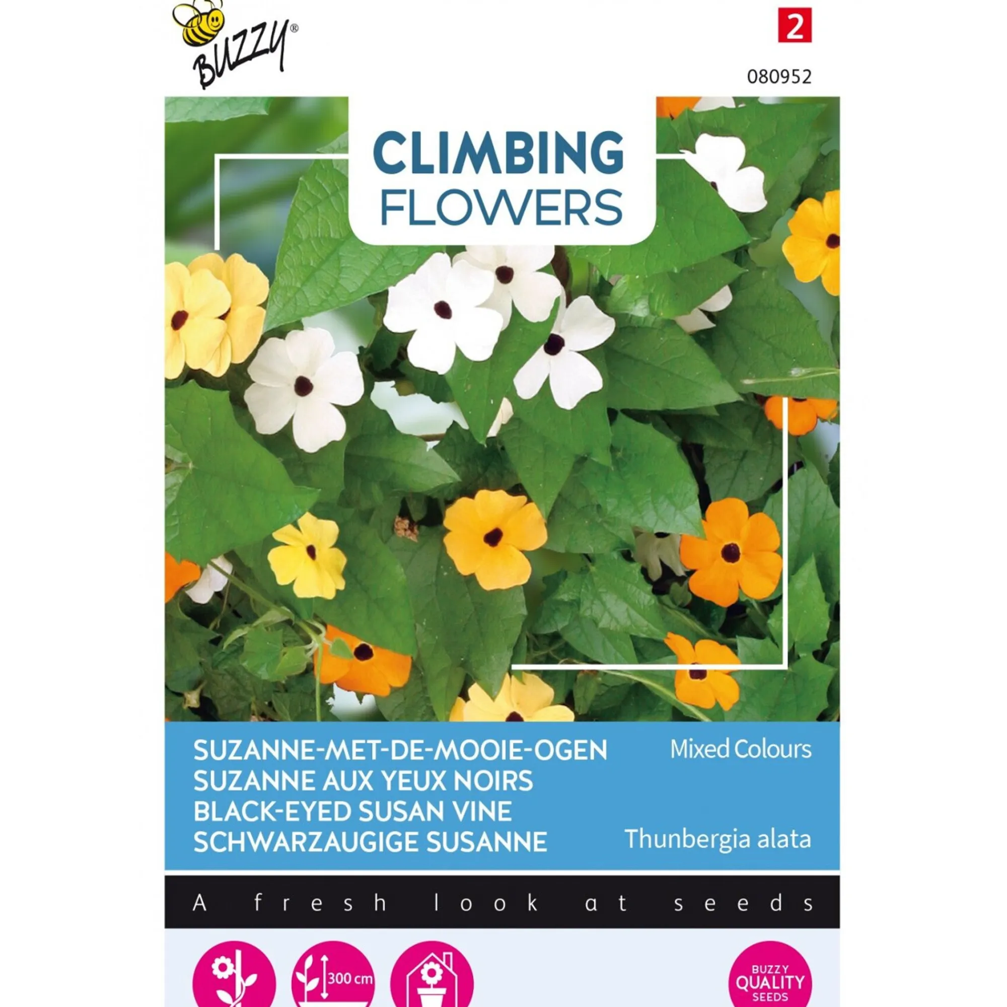 Buzzy Moestuin<Suzanne-met-de-mooie-ogen mix