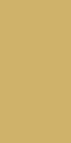Duni Koken & Tafelen|Woondecoratie<Tafelkleed 138x280 XXL gold