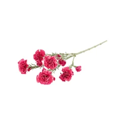 O'malley Kunstplanten En Kunstbloemen<Tak carnation roze 68 cm