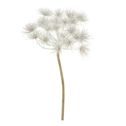 Boltze home Kunstplanten En Kunstbloemen<Tak Hogweed creme 76 cm