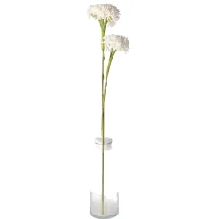 O'malley Kunstplanten En Kunstbloemen<Tak klauw wit 87 cm