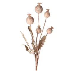 O'malley Kunstplanten En Kunstbloemen<Tak papaver 105 cm