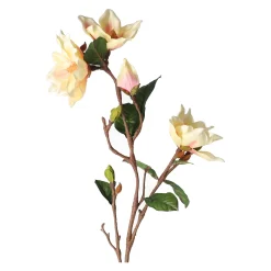 O'malley Kunstplanten En Kunstbloemen<Tak Yulan 103 cm beige