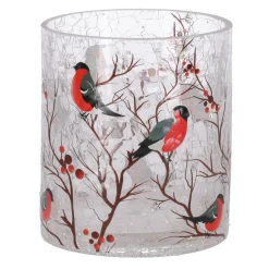 Natural Collections Kaarsen<Theelichthouder glas vogels 9 x 9 x 10 cm