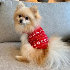 Friendly Pet Hondenjas<Trui hond kerst Nordic rood 20cm