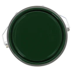 Finess Beits En Vernis<Tuinbeits DK m.groen 2503 2.5L