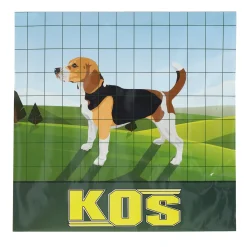 Kos Afrastering<Tuingaas 100x75 H60 25M groen