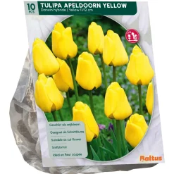 Baltus Bodemverbeteraars<Tulipa Apeldoorn Geel Darwin per 10