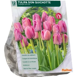 Baltus Bodemverbeteraars<Tulipa Don Quichotte Triumph per 12