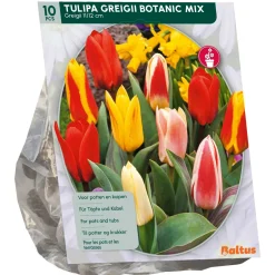 Baltus Bodemverbeteraars<Tulipa Greigii Mix per 10