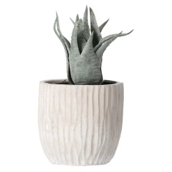 O'malley Kunstplanten En Kunstbloemen<Vetplant decoratie 8 cm diverse uitvoeringen
