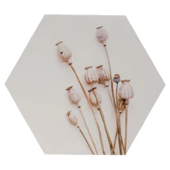 Natural Collections Woondecoratie<Wanddecoratie papaver 38 x 38 cm