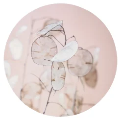 Natural Collections Woondecoratie<Wanddecoratie rond 38 cm