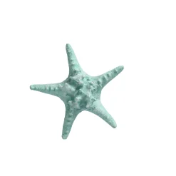 Natural Collections Woondecoratie<Zeester 19 cm blauw, 2 assorti