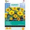 Buzzy Moestuin<Zonnebloem Pacino Gold